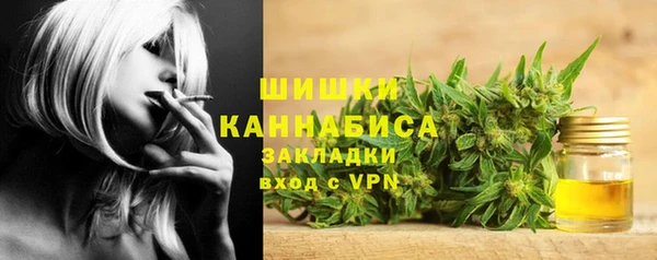 мдма Новозыбков