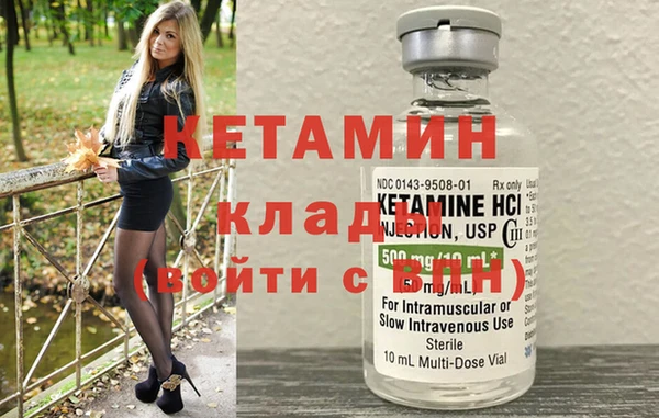 ешки Новодвинск