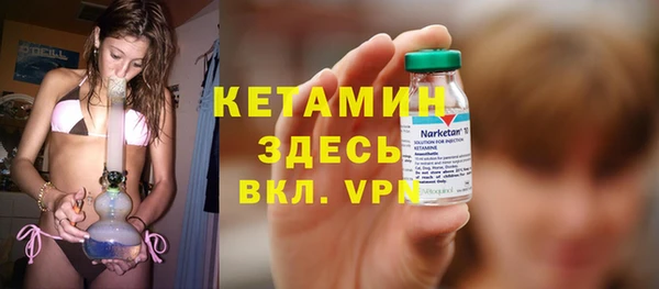 ешки Новодвинск