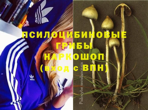 мдма Новозыбков