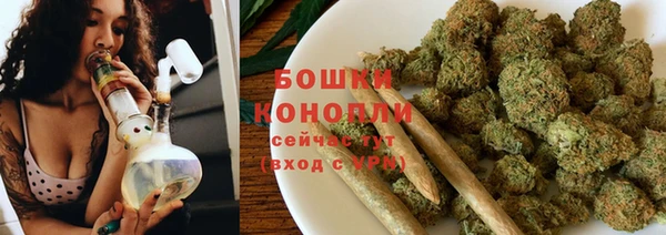 ешки Новодвинск