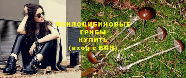 ешки Новодвинск