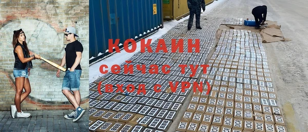 ешки Новодвинск