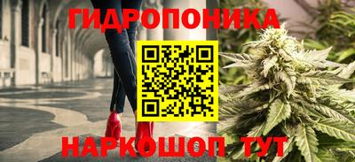 марки nbome Заводоуковск