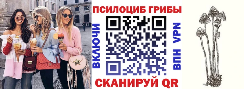 Галлюциногенные грибы мухоморы Уфа