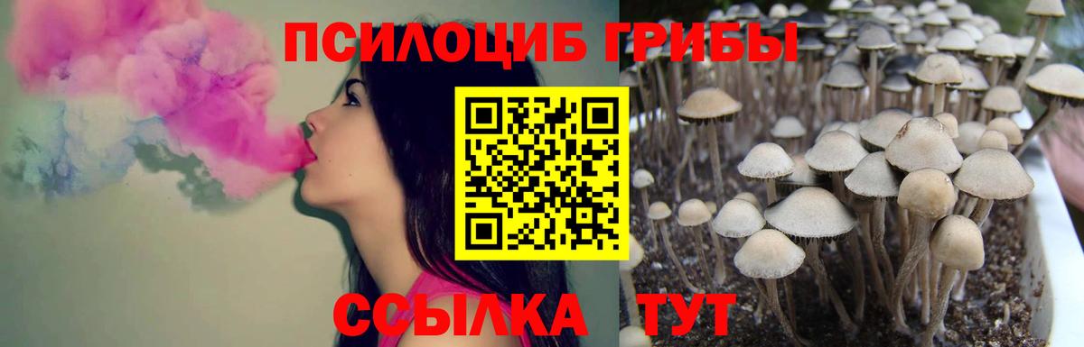 Уфа  Псилоцибиновые грибы мухоморы  Вход с VPN 